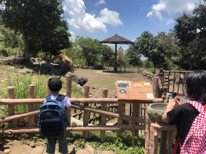 baobab-safari-resort-wildlife