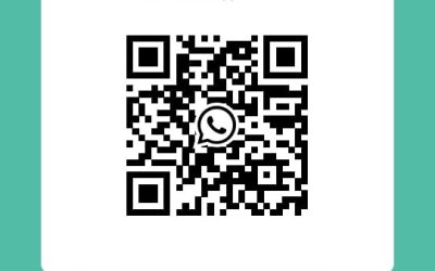 Create Modern & Trendy Wall Cladding with Indonesia Grey Basalt Stone Cladding