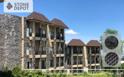 Improve Appearance Your House with Lava Stone Wall Cladding