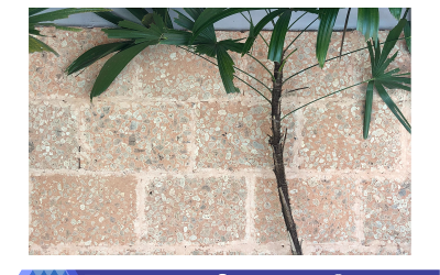 Bali Stone, Best Aesthetical Enhancement for Your Properties