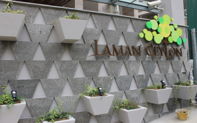 Bali Basalt Wall Cladding – Elegant Look in Modern Buildings with Bali Basalt Cladding