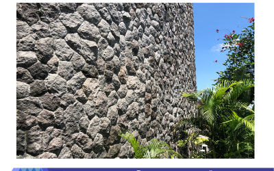 Bali Black Lavastone For Green Living Concept