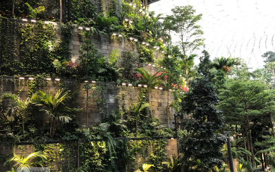 Volcanic Lava Stone Wall Cladding – The Balinese Style of Volcanic Lava Stone Wall Cladding