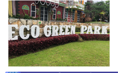 The Tropical Golden Sandstone Exterior Wall Cladding