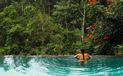 Types of Indonesia Stone for Swimming Pools and Their Benefits!